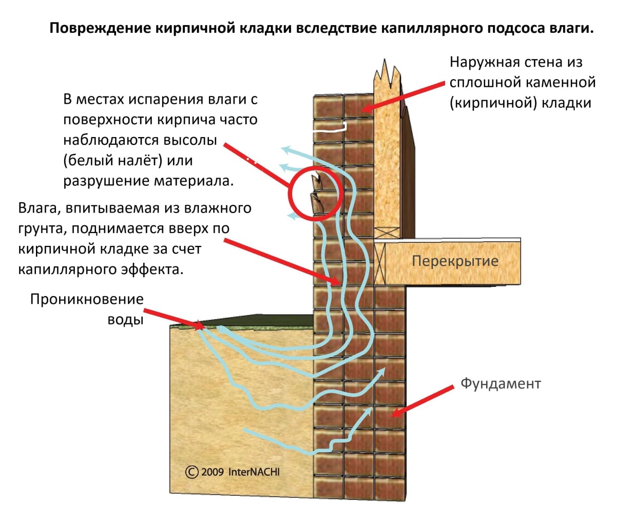 Капиллярный подъём воды в кирпичной кладке